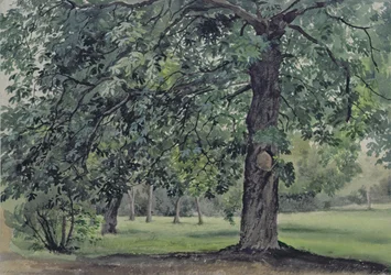 Landschaft mit Kastanienbaum im Vordergrund